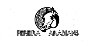 PEREIRA ARABIANS logo