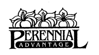 PERENNIAL ADVANTAGE logo