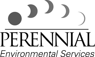 PERENNIAL ENVIRONMENTAL SERVICES logo