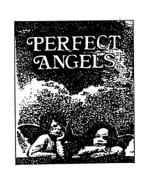 PERFECT ANGELS logo