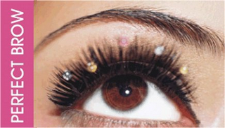 PERFECT BROW logo