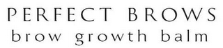 PERFECT BROWS BROW GROWTH BALM logo