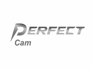 PERFECT CAM logo
