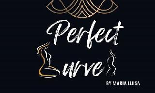 PERFECT CURVES BY MARIA LUISA logo