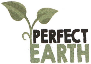 PERFECT EARTH logo