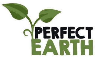 PERFECT EARTH logo