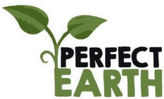 PERFECT EARTH logo