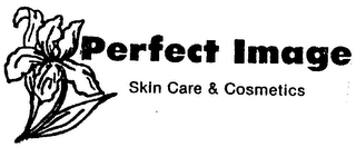 PERFECT IMAGE logo