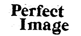 PERFECT IMAGE logo