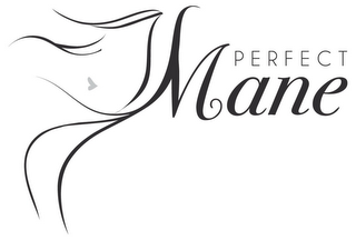 PERFECT MANE logo