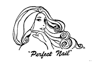 "PERFECT NAIL" logo