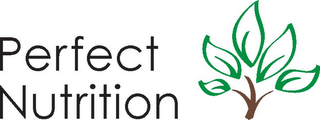 PERFECT NUTRITION logo