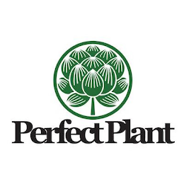 PERFECT PLANT logo