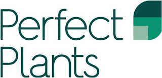 PERFECT PLANTS logo