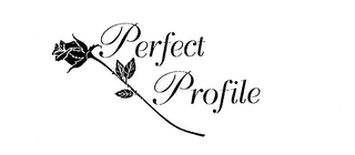 PERFECT PROFILE logo