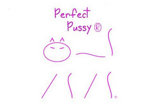PERFECT PUSSY logo
