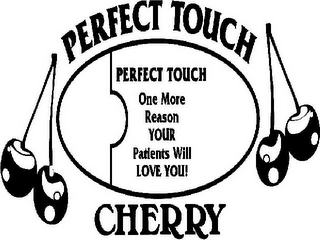 PERFECT TOUCH CHERRY PERFECT TOUCH ONE MORE REASON YOUR PATIENTS WILL LOVE YOU! logo
