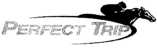 PERFECT TRIP logo