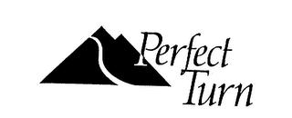 PERFECT TURN logo