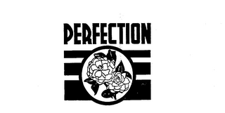 PERFECTION logo
