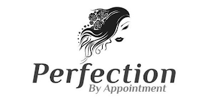 PERFECTION BY APPOINTMENT logo