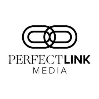 PERFECTLINK MEDIA logo