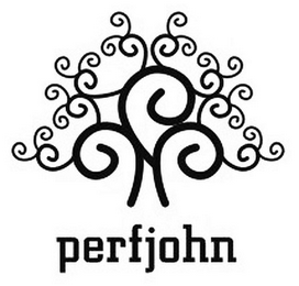 PERFJOHN logo