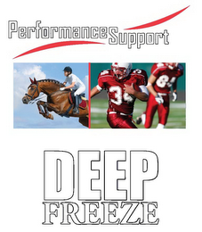 PERFORMANCE SUPPORT DEEP FREEZE logo
