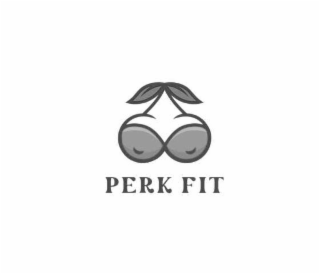 PERK FIT logo