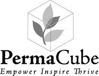 PERMACUBE EMPOWER INSPIRE THRIVE logo