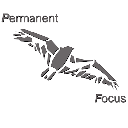 PERMANENT FOCUS logo