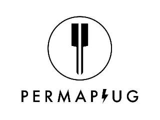 PERMAPLUG logo