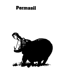 PERMASIL logo