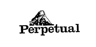 PERPETUAL logo