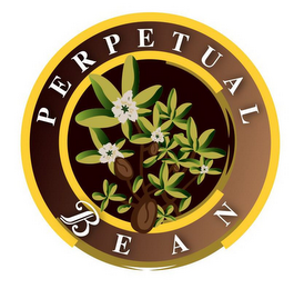 PERPETUAL BEAN logo