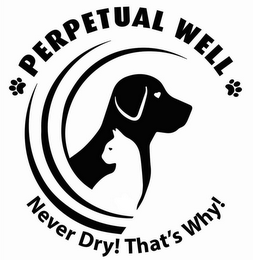 PERPETUAL WELL NEVER DRY! THAT'S WHY! logo