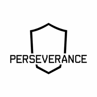 PERSEVERANCE logo