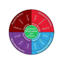PERSONAL MASTERY INTERPERSONAL MASTERY ORGANIZATIONAL MASTERY MOTIVATIONAL MASTERY COMMITMENT CURIOSITY COURAGE CONNECT COMMUNICATE COLLABORATE PEOPLE PROCESSES PRODUCTS ENGAGE ELEVATE ENERGIZE EXPAND RESULTS LEVERAGE RELATIONSHIPS INTEGRATE ENVIRONMENT INSPIRE PERFORMANCE LEADERSHIP EFFECTIVENESS AND POTENTIAL