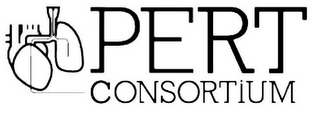PERT CONSORTIUM logo