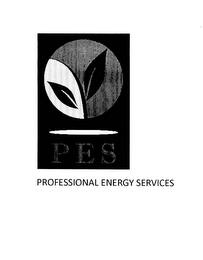 PES PROFESSIONAL ENERGY SERVICES