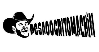 PESAOOGRITOMACHIN logo