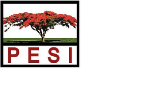 PESI logo