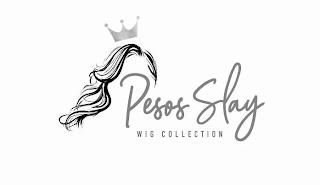 PESOS SLAY WIG COLLECTION logo