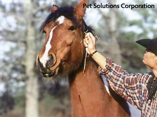 PET SOLUTIONS CORPORATION logo