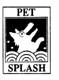 PET SPLASH logo