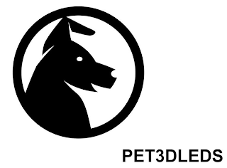 PET3DLEDS logo