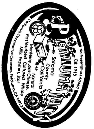 PETALUMA JACK logo
