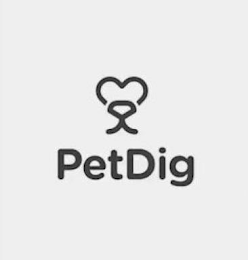 PETDIG logo