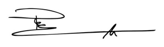 PETER LIK logo