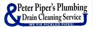 PETER PIPER'S PLUMBING DRAIN CLEANING SERVICE WE FIX PICKLED PIPES logo